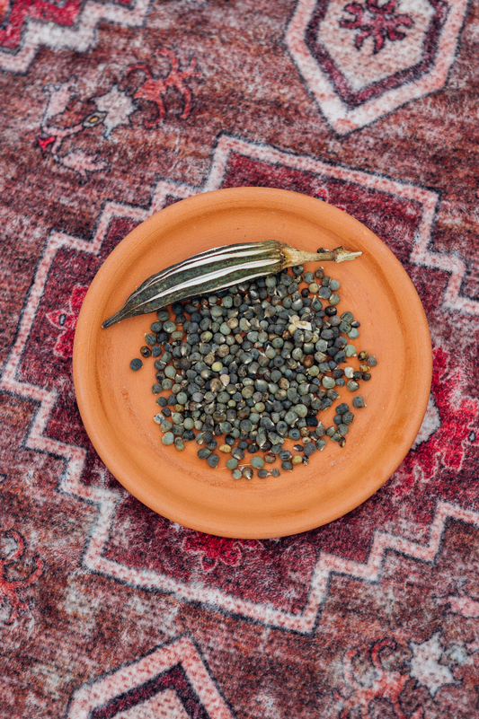 Bamyeh (Okra) Seeds