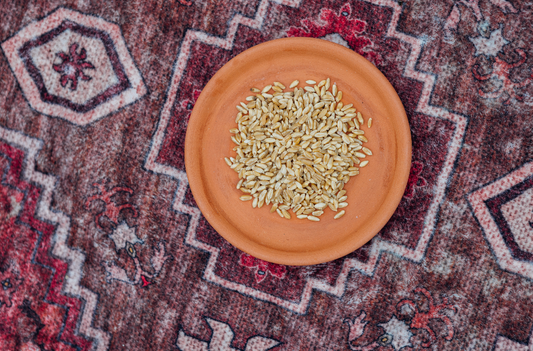 Abu Samara (Wheat) Seeds