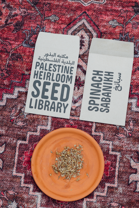 Sabanikh (Spinach) Seeds