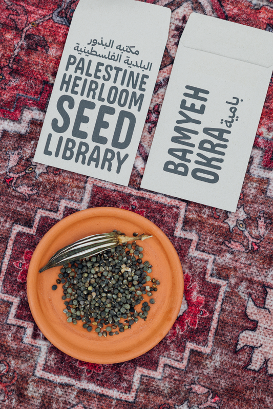 Bamyeh (Okra) Seeds