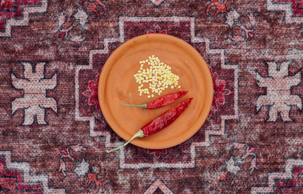 Filfil Gazawi (Pepper) Seeds